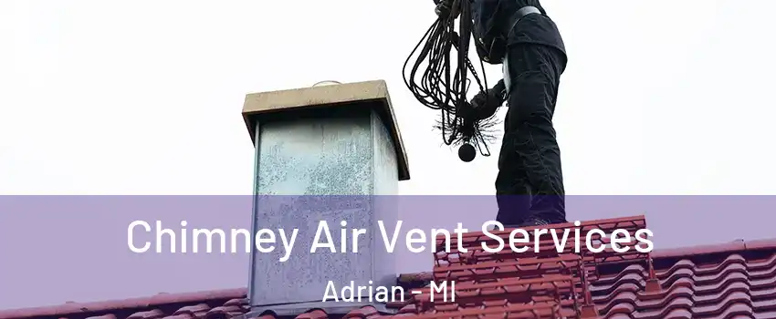  Chimney Air Vent Services Adrian - MI