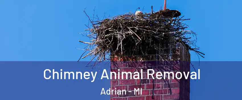 Chimney Animal Removal Adrian - MI
