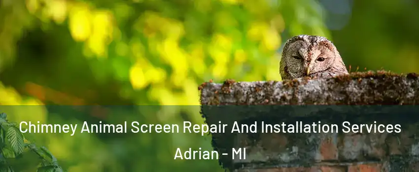  Chimney Animal Screen Repair And Installation Services Adrian - MI