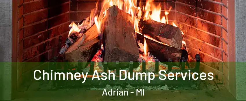  Chimney Ash Dump Services Adrian - MI