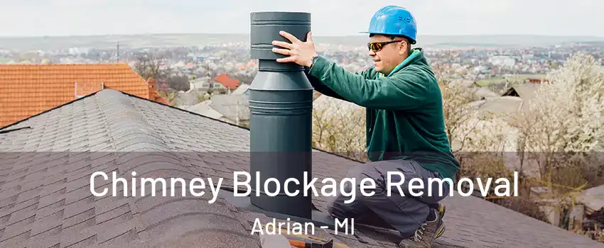  Chimney Blockage Removal Adrian - MI