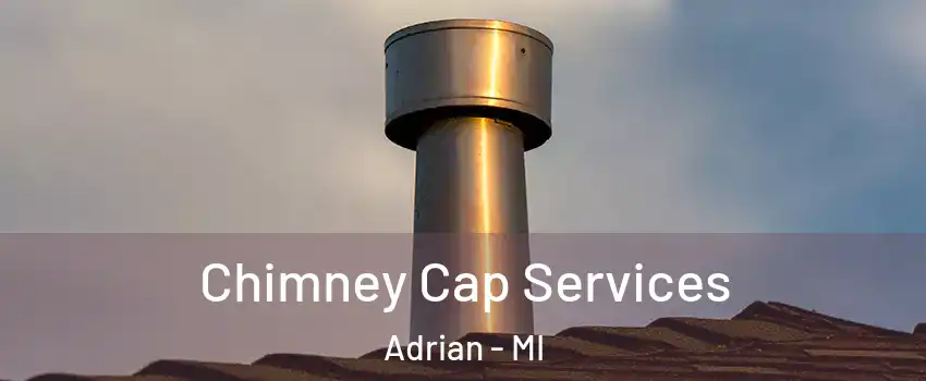  Chimney Cap Services Adrian - MI
