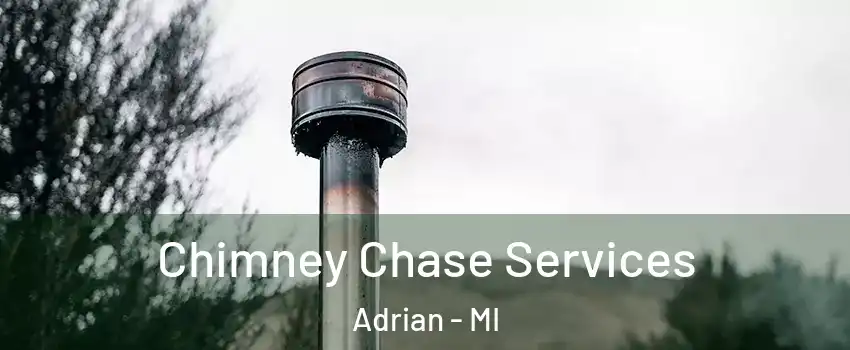  Chimney Chase Services Adrian - MI