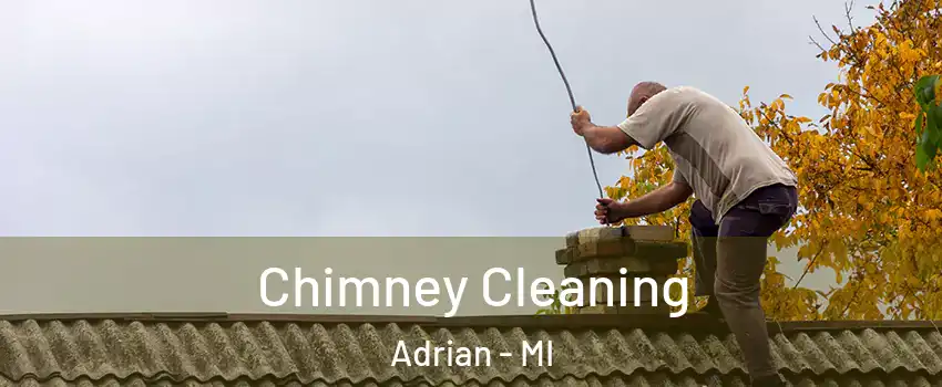  Chimney Cleaning Adrian - MI