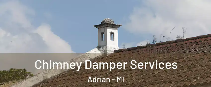  Chimney Damper Services Adrian - MI