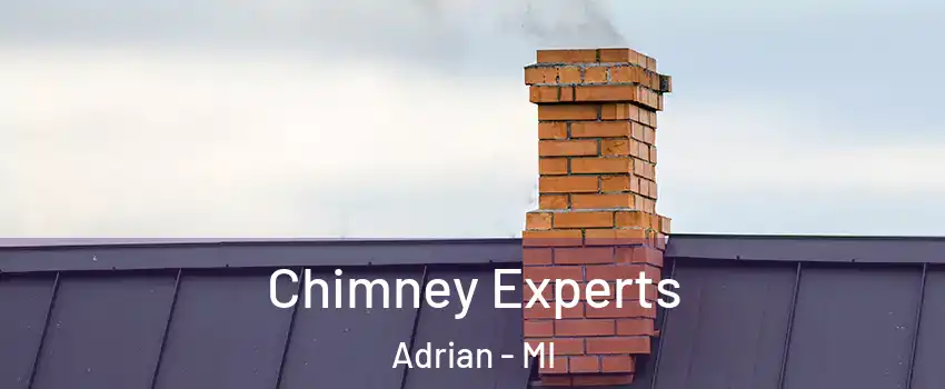 Chimney Experts Adrian - MI