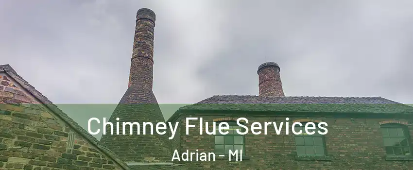  Chimney Flue Services Adrian - MI