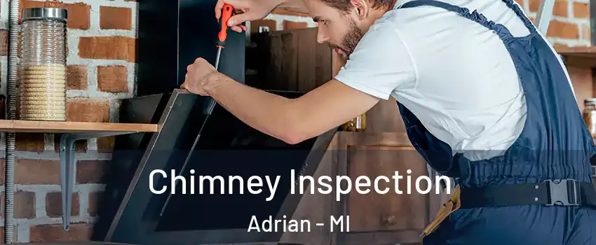  Chimney Inspection Adrian - MI