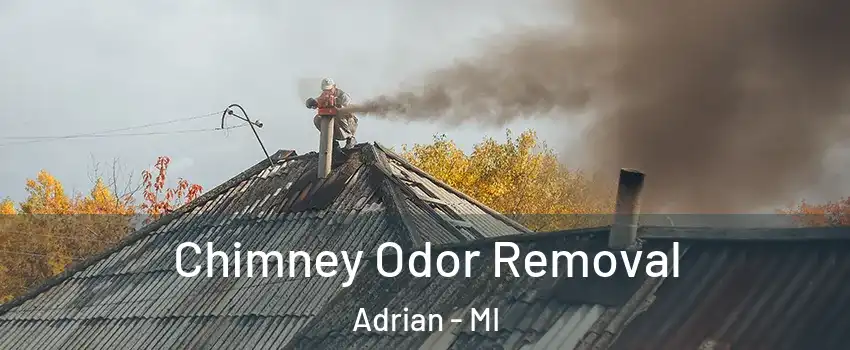  Chimney Odor Removal Adrian - MI