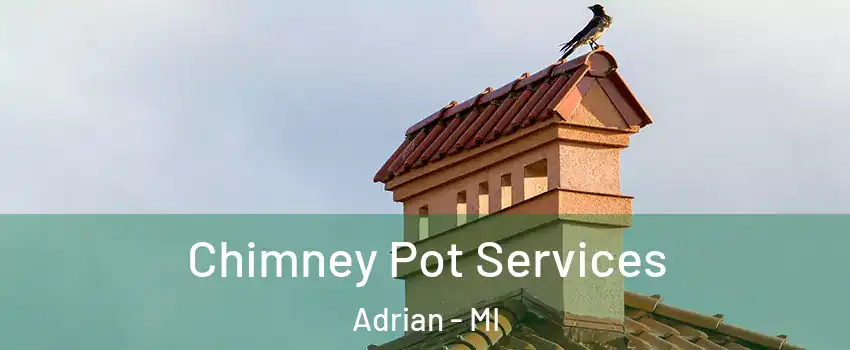  Chimney Pot Services Adrian - MI