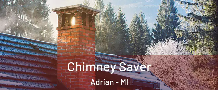  Chimney Saver Adrian - MI