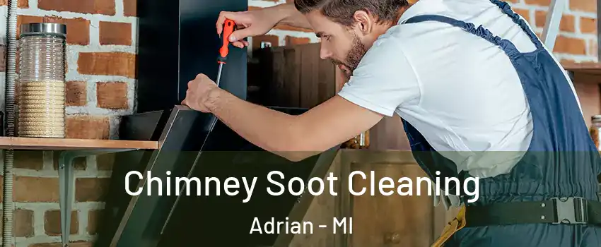  Chimney Soot Cleaning Adrian - MI