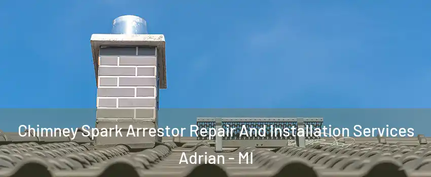 Chimney Spark Arrestor Repair And Installation Services Adrian - MI