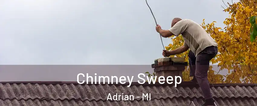  Chimney Sweep Adrian - MI