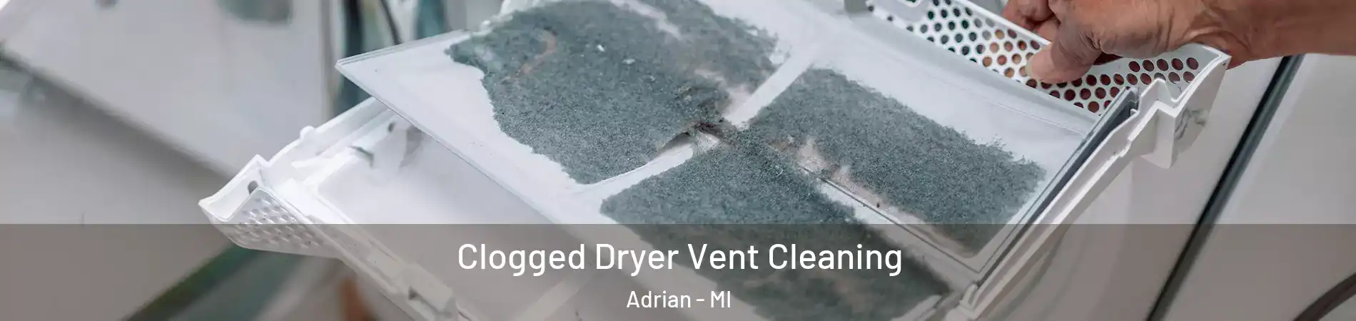  Clogged Dryer Vent Cleaning Adrian - MI