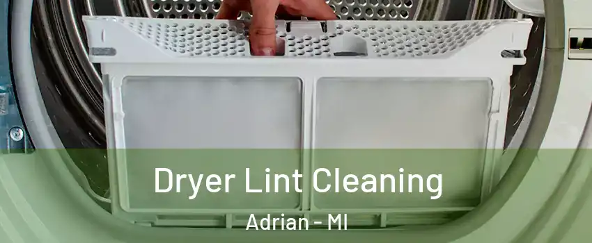  Dryer Lint Cleaning Adrian - MI