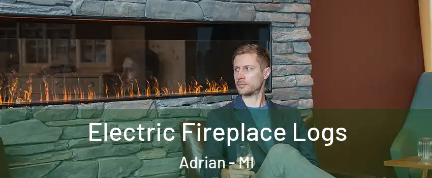  Electric Fireplace Logs Adrian - MI