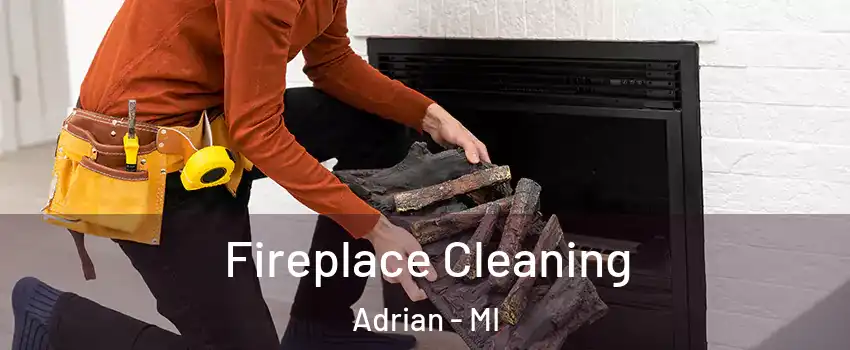  Fireplace Cleaning Adrian - MI
