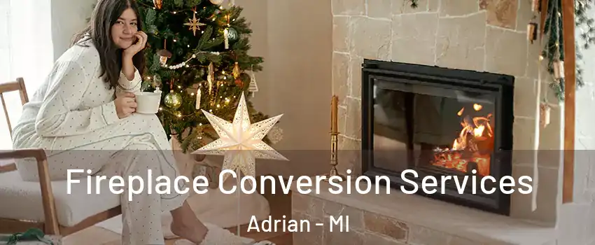  Fireplace Conversion Services Adrian - MI