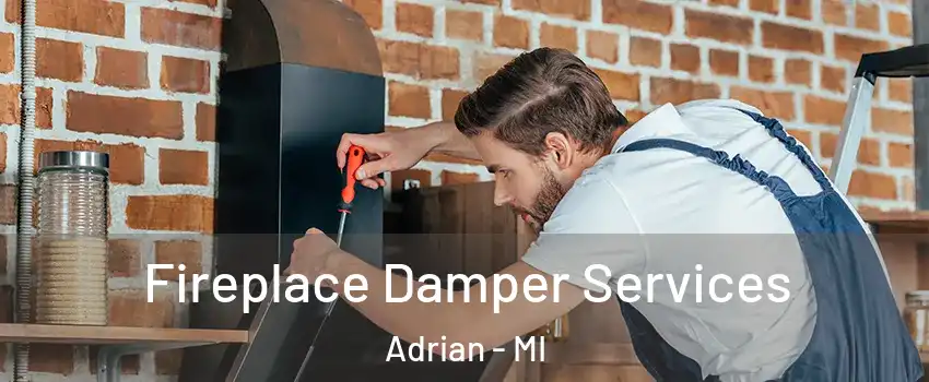  Fireplace Damper Services Adrian - MI
