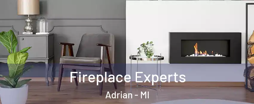  Fireplace Experts Adrian - MI