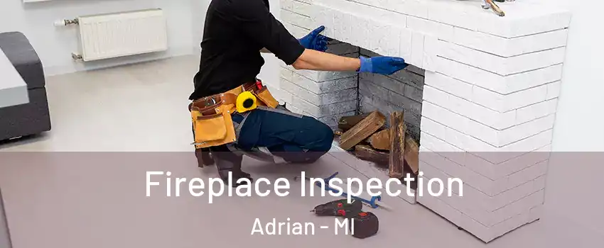  Fireplace Inspection Adrian - MI