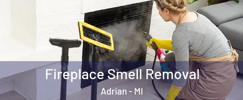  Fireplace Smell Removal Adrian - MI