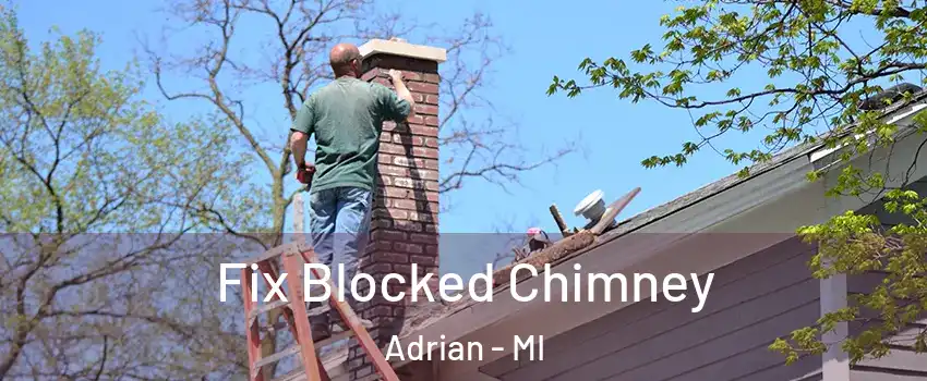  Fix Blocked Chimney Adrian - MI