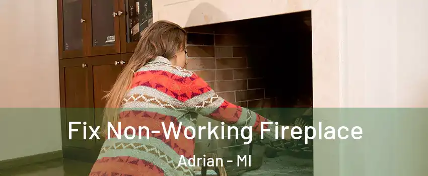  Fix Non-Working Fireplace Adrian - MI