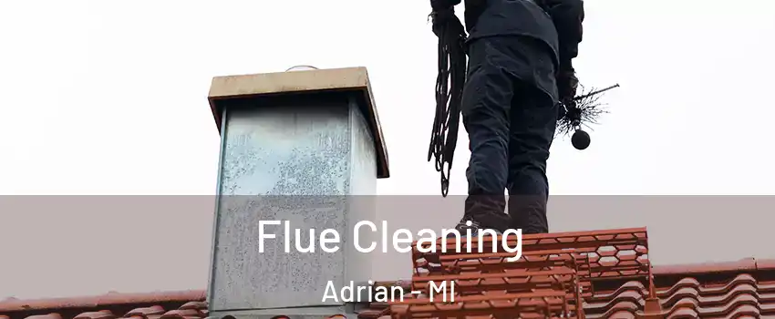  Flue Cleaning Adrian - MI