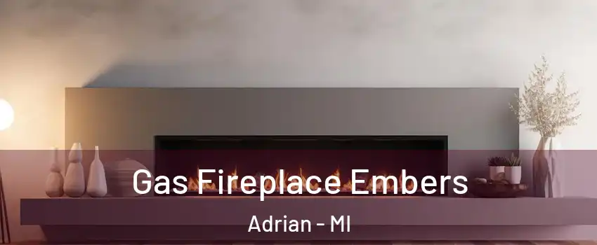  Gas Fireplace Embers Adrian - MI