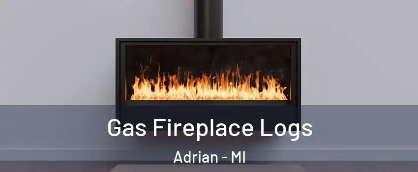  Gas Fireplace Logs Adrian - MI