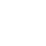 Professional Chimney Flue Installation in Adrian, Michigan