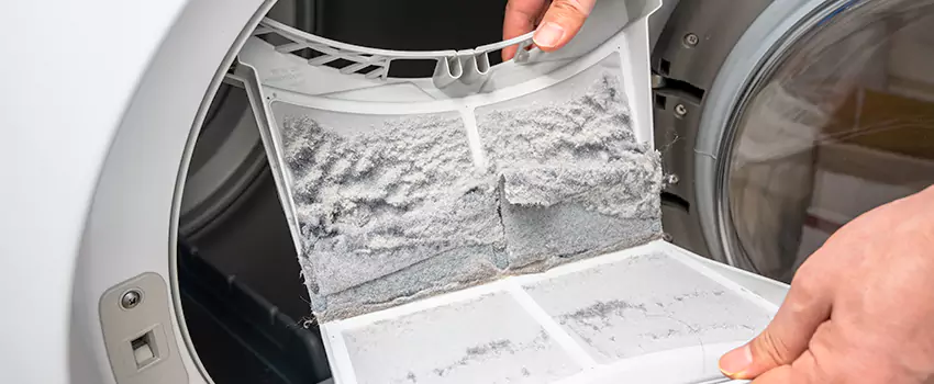 Best Dryer Lint Removal Company in Adrian, Michigan