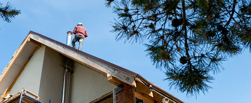 Birds Removal Contractors from Chimney in Adrian, MI