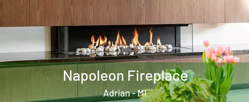  Napoleon Fireplace Adrian - MI