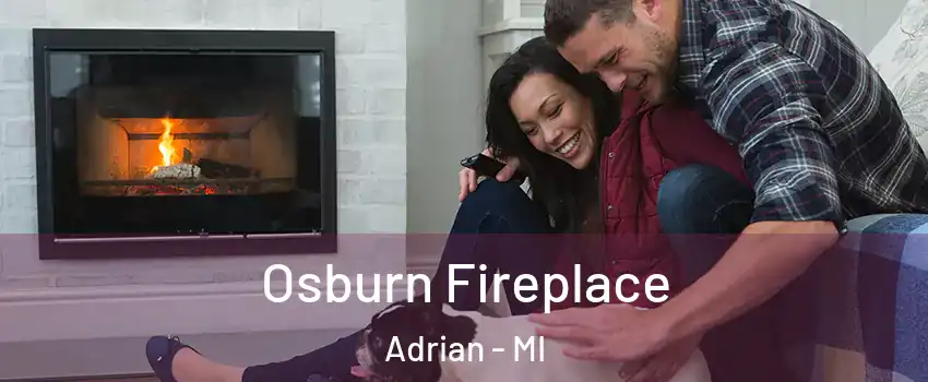  Osburn Fireplace Adrian - MI