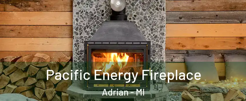  Pacific Energy Fireplace Adrian - MI