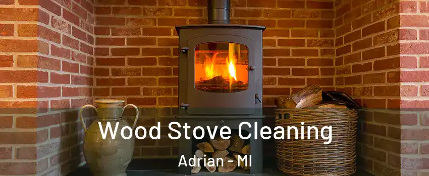  Wood Stove Cleaning Adrian - MI